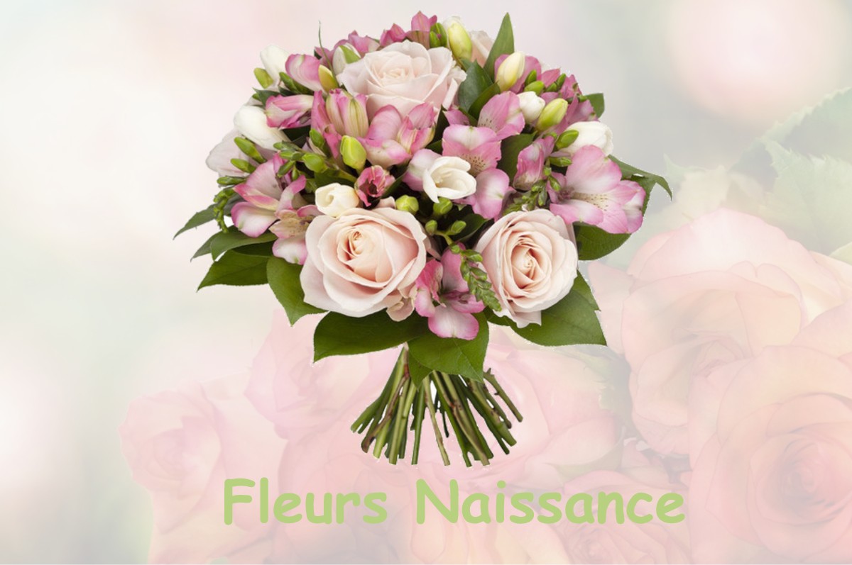 fleurs naissance LA-CROIX-AVRANCHIN